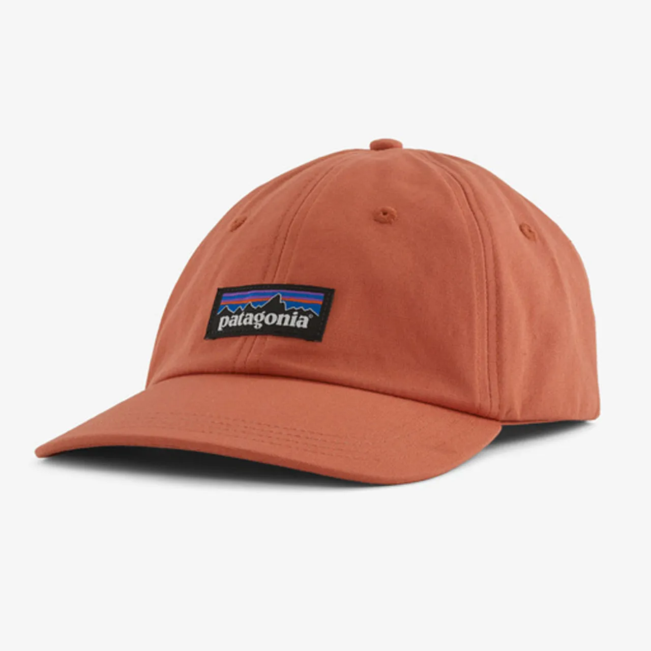 Adult Patagonia P-6 Patagonia Label Trad Cap