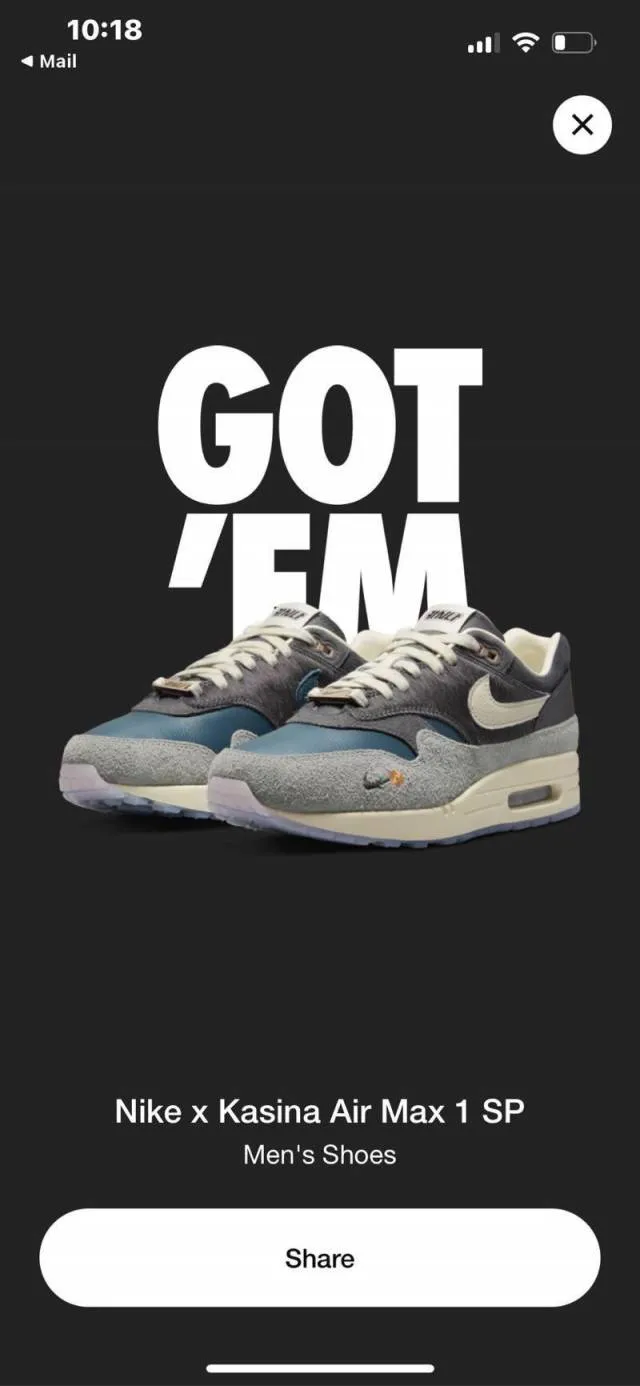 Kasina x nike air max 1 won-ang particle grey