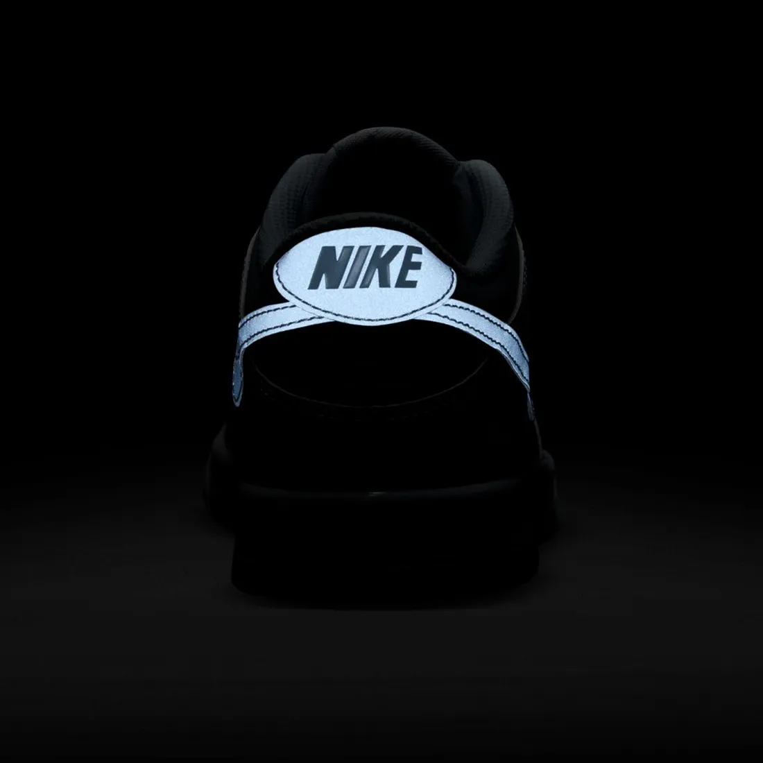 Nike Big Kids Dunk Low Gs (white / smoke grey-pure platinum)