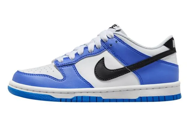 Nike dunk low gs photo blue