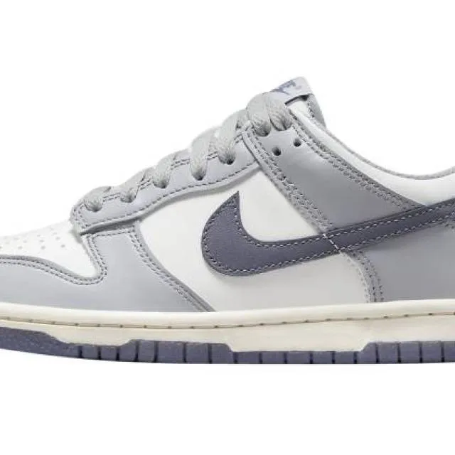 Nike dunk low gs platinum tint