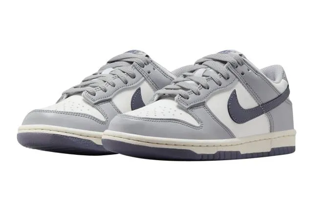 Nike dunk low gs platinum tint