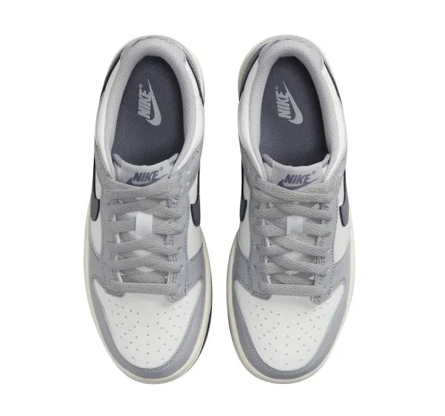 Nike dunk low gs platinum tint