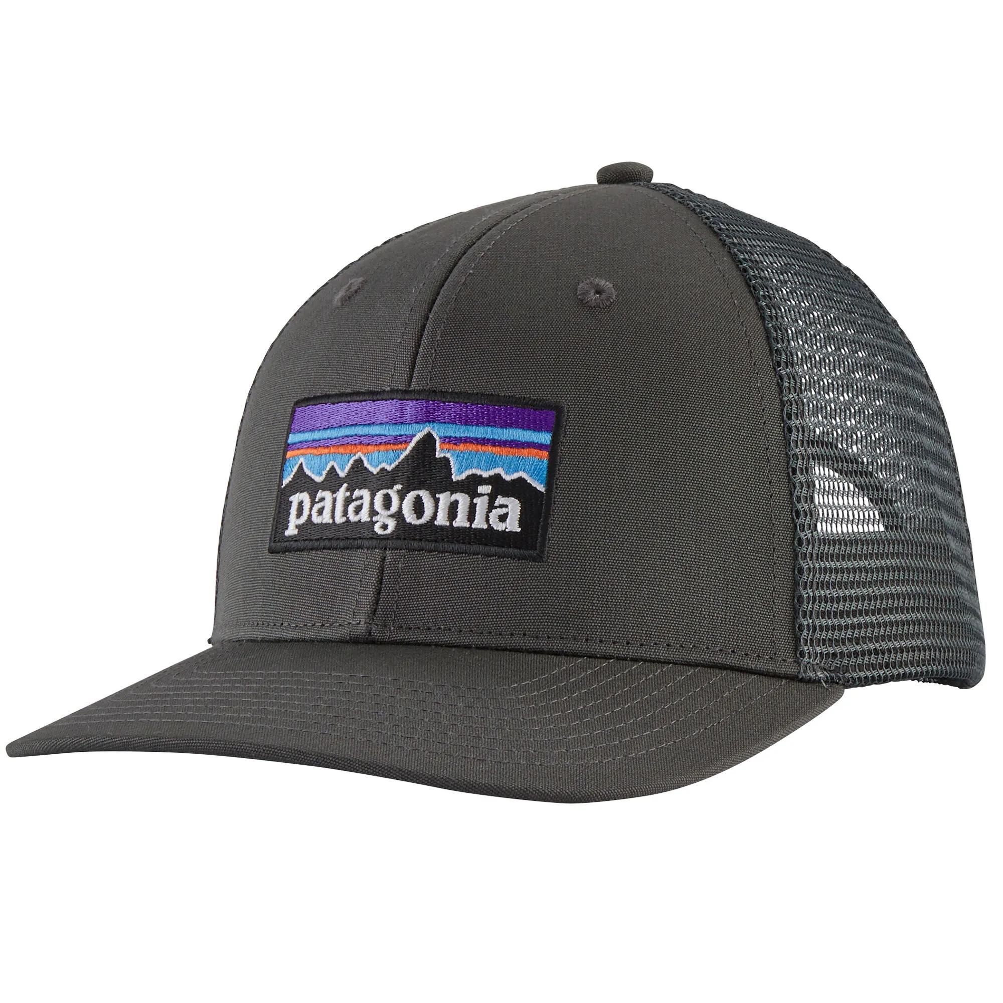 Patagonia Men's P-6 Logo Trucker Hat