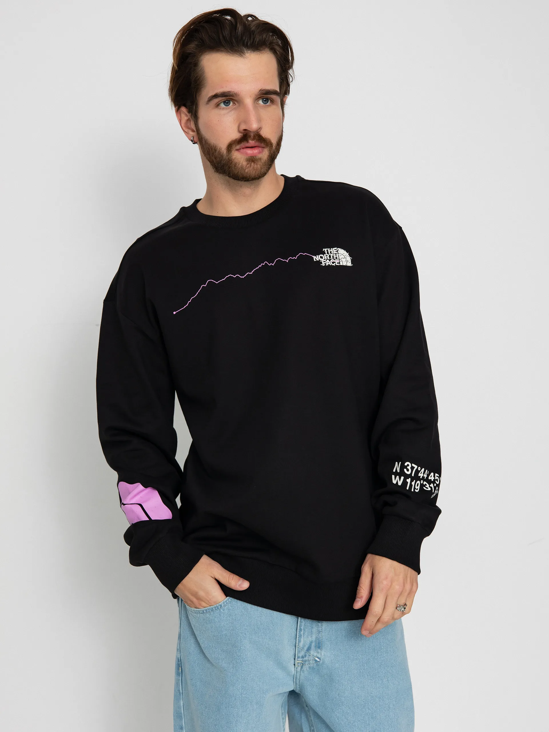 The North Face Nse Graphic Crew Sweatshirt (tnf black)